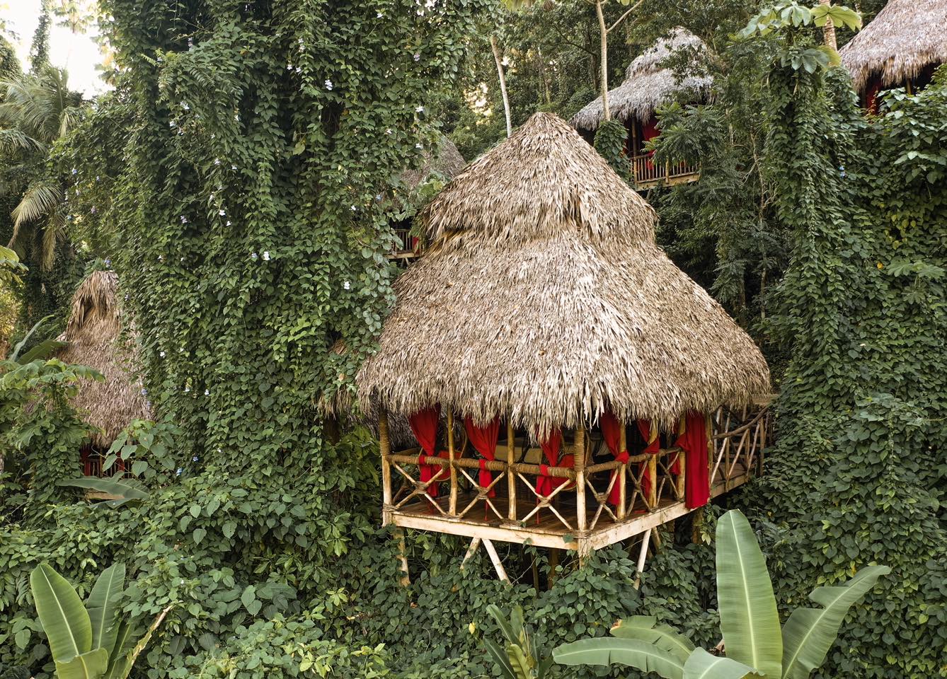 Featured image for “Dominican Republic Resort Hotels: Luxury Canopy Living”