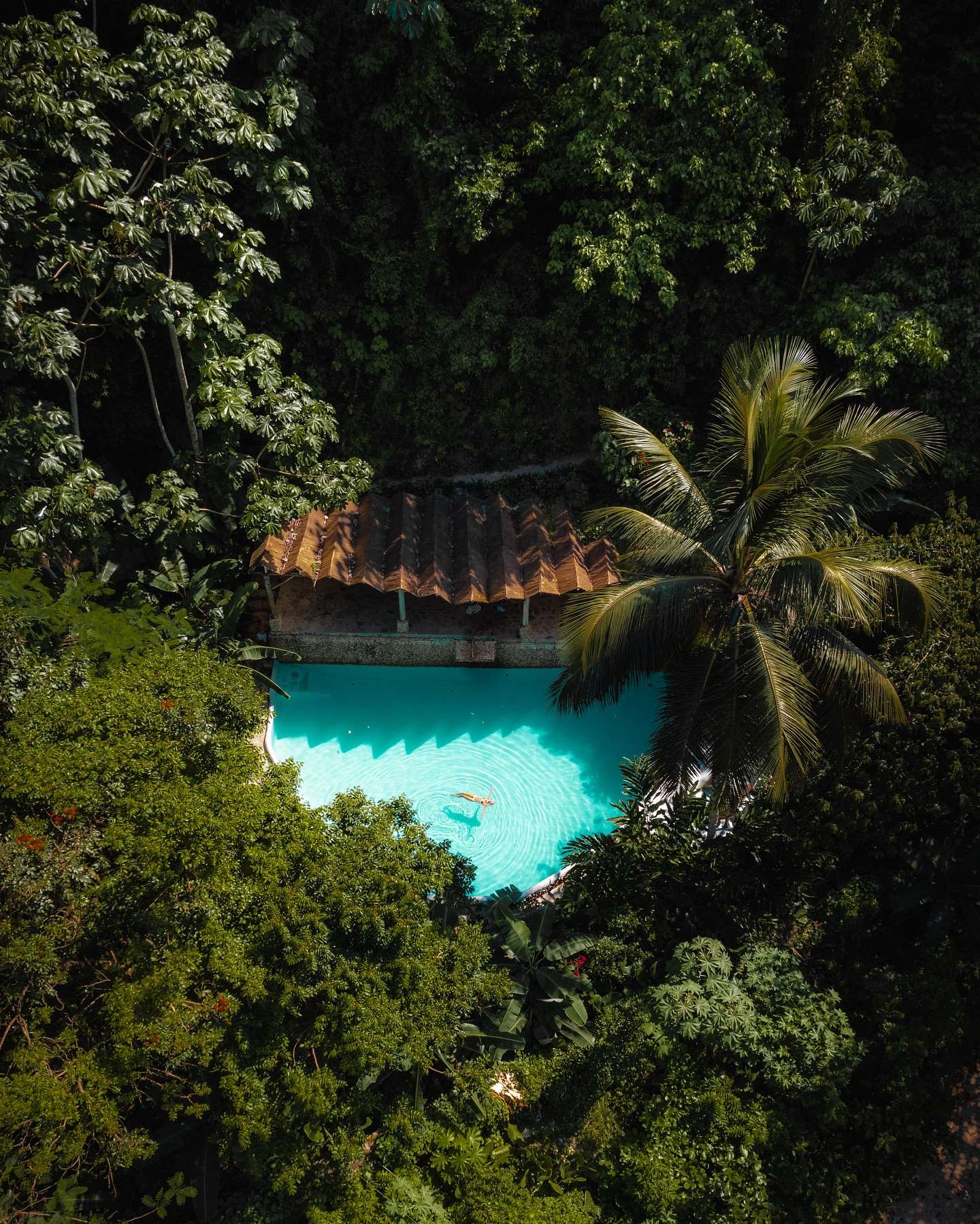 Featured image for “Best Dominican Resorts: Top-Rated Luxury Accommodations”