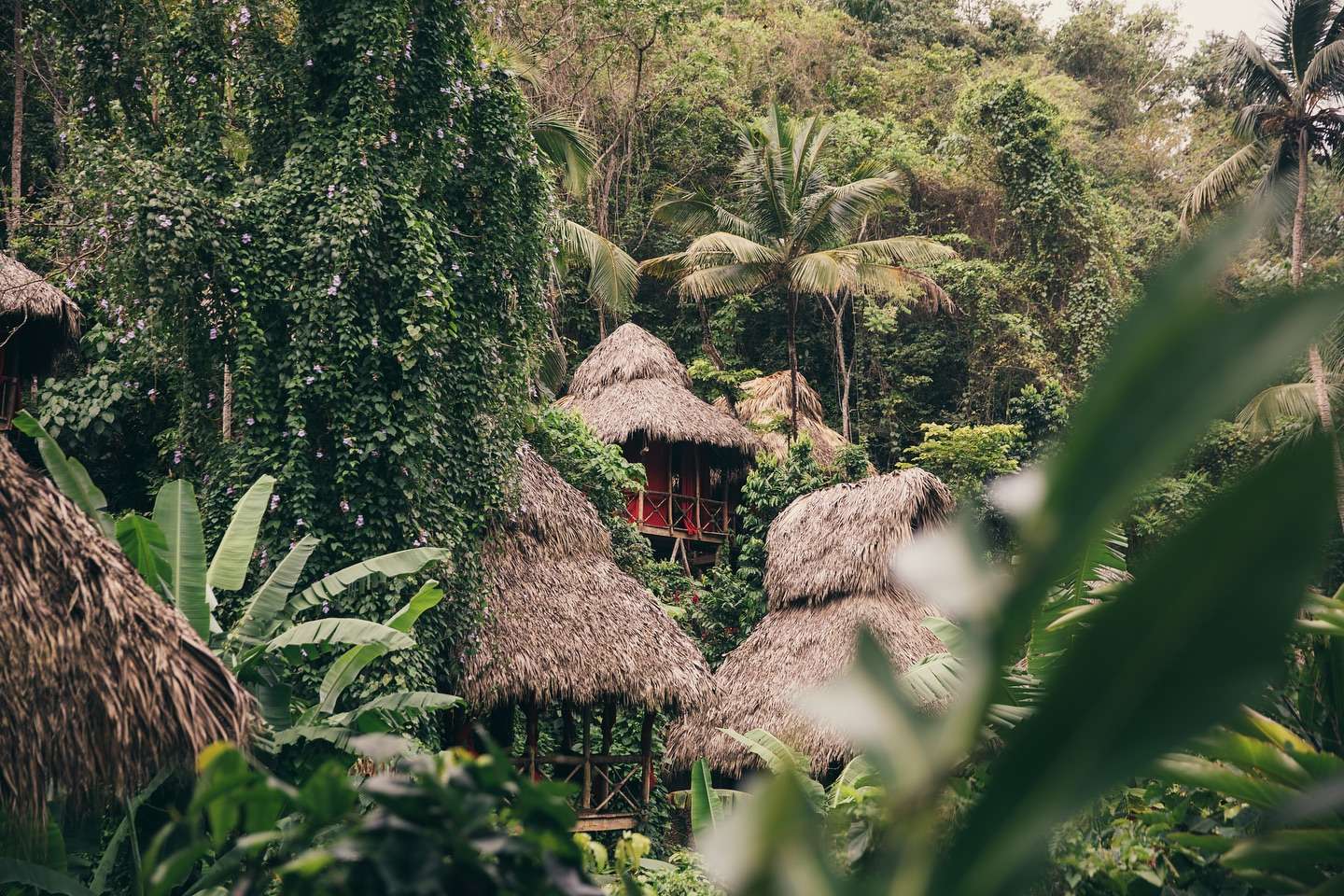 Featured image for “Top Resorts in the Dominican Republic Dominican Treehouse Village: Luxury Eco-Escapes”