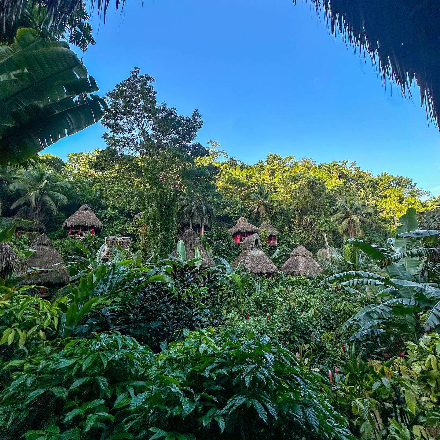 Featured image for “Resorts in the Dominican Republic: Ultimate Eco-Luxury Experiences”