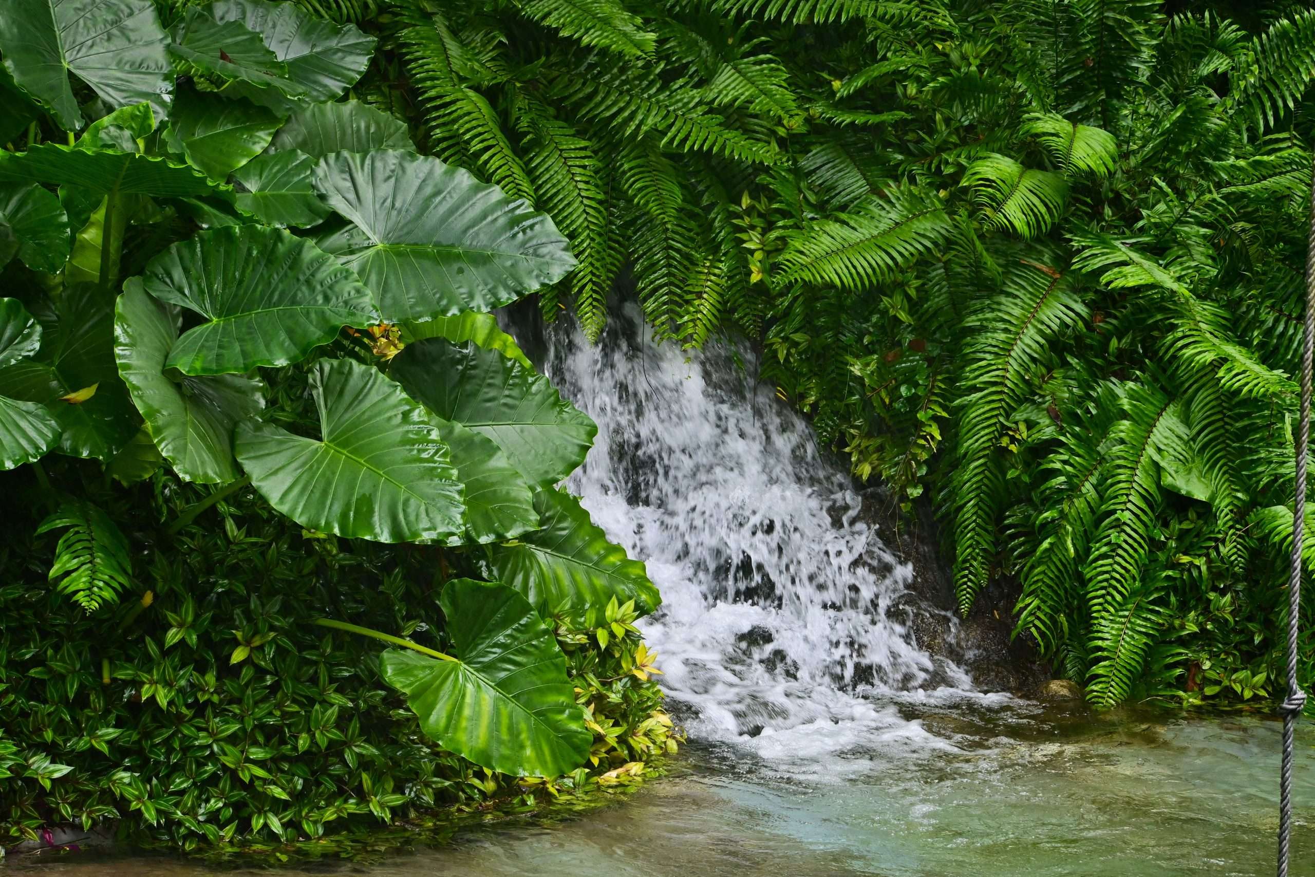 Featured image for “Island Adventure Excursion: Daily Excursions – Complete Guide to Paradise Exploration”