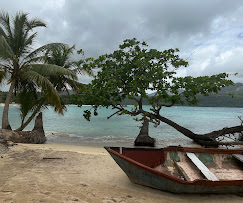 Featured image for “Things to Do in Samana DR: Exploring Nature’s Paradise in 2025”